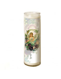 7 days glass candle Angel - Pansies